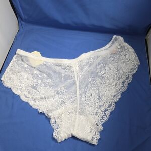 Lace Panty - Size 3X Spree BRA